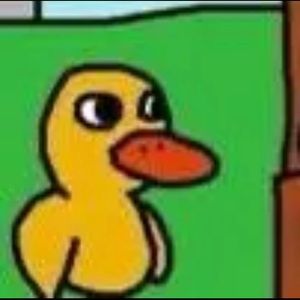 Meet your Posher, Bella